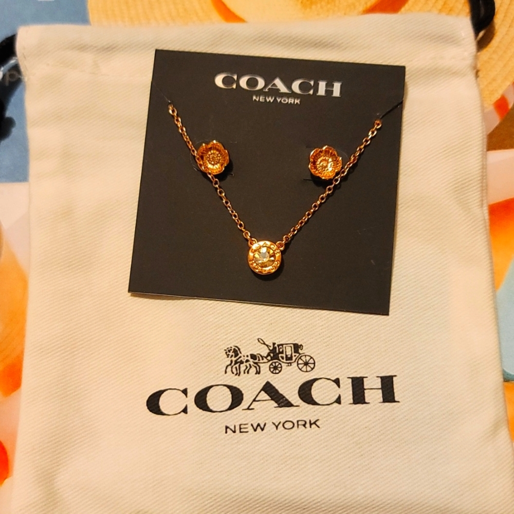 Coach necklace and earrings set